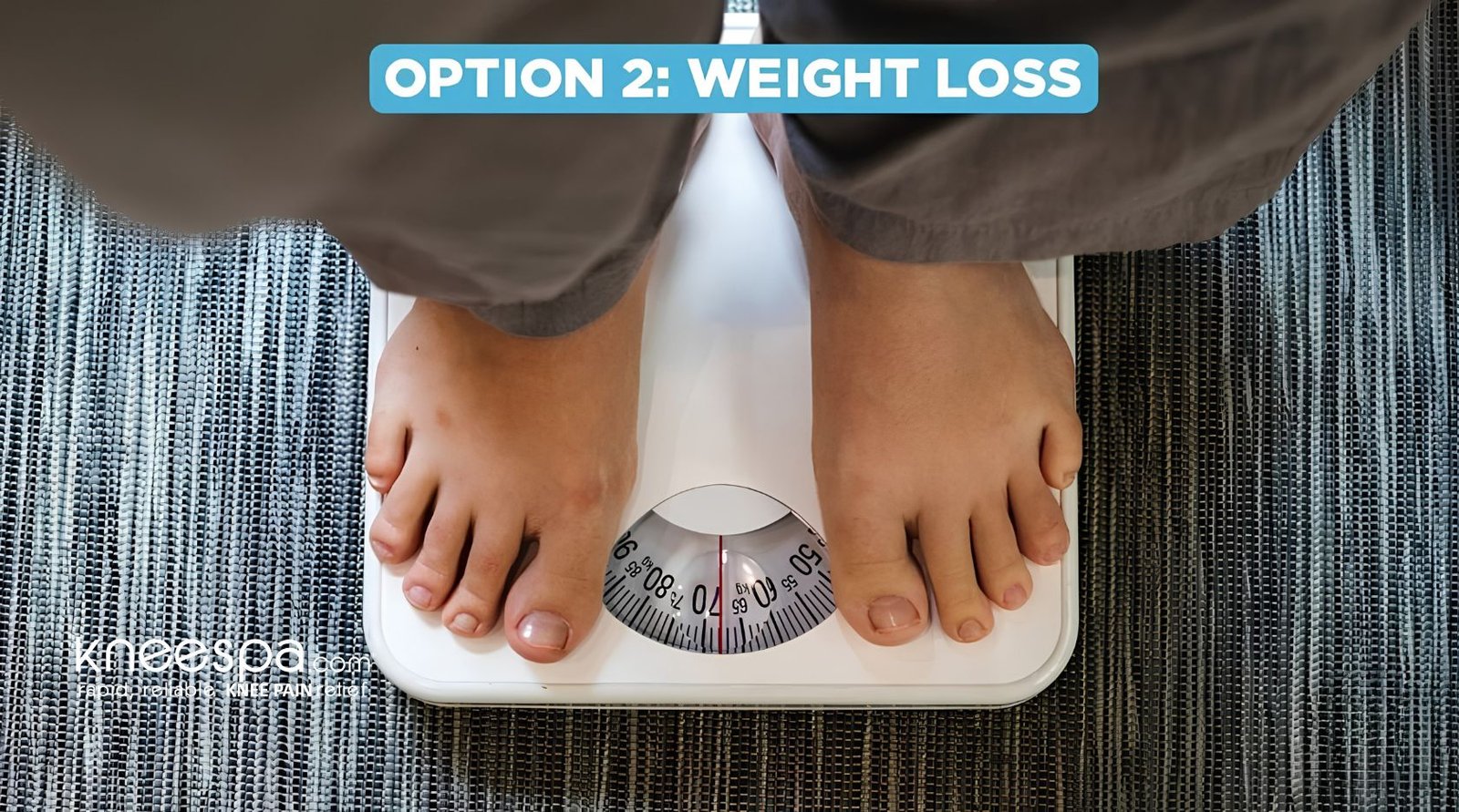 Option 2 Weight Loss